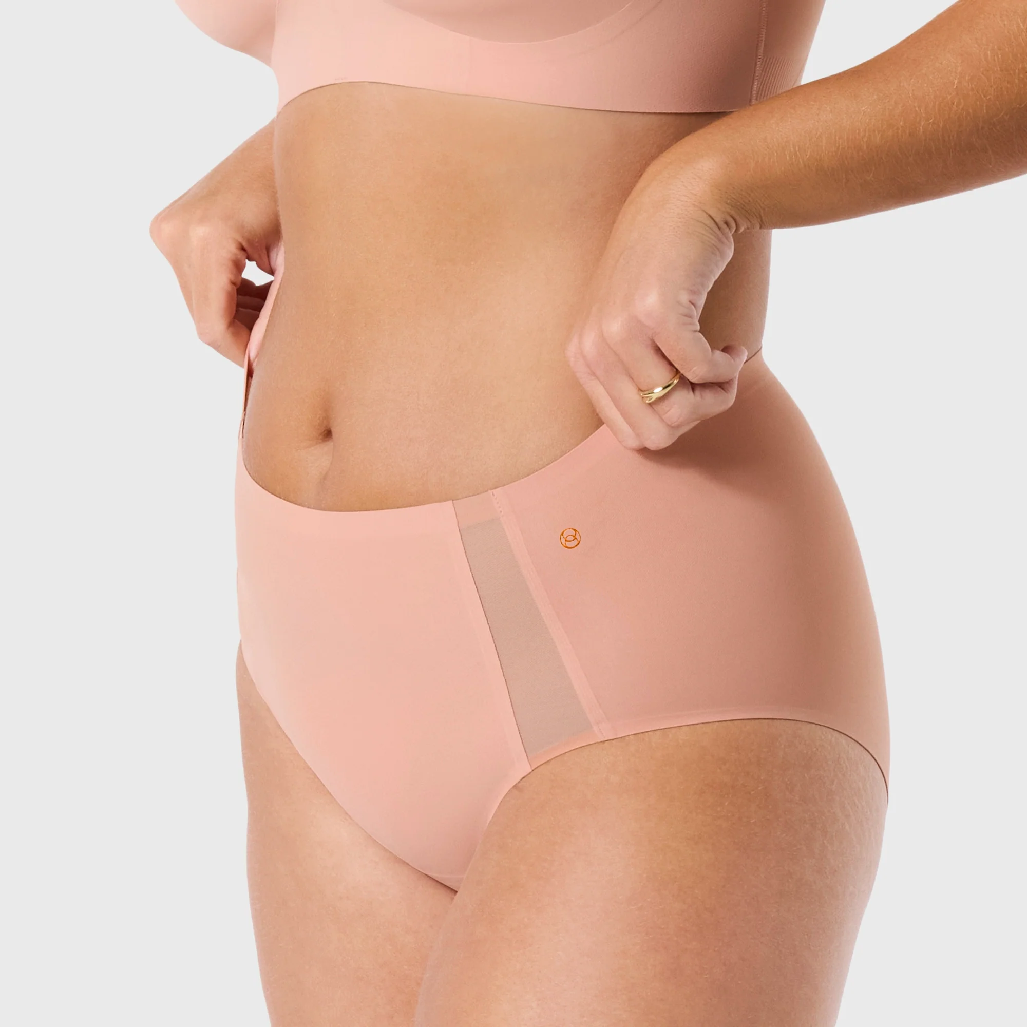 High-Waisted Retro Bikini — Mesh - Image 3